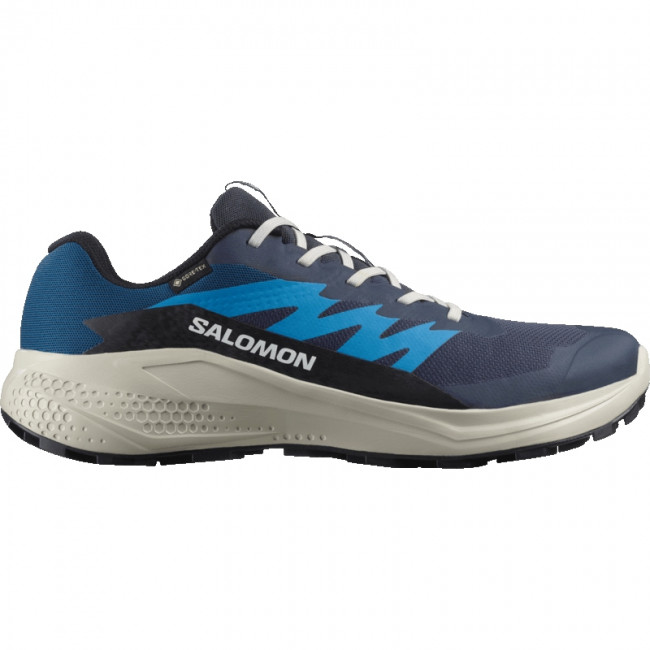 Salomon Alphaglide GTX, Laufschuhe, Herren, blau