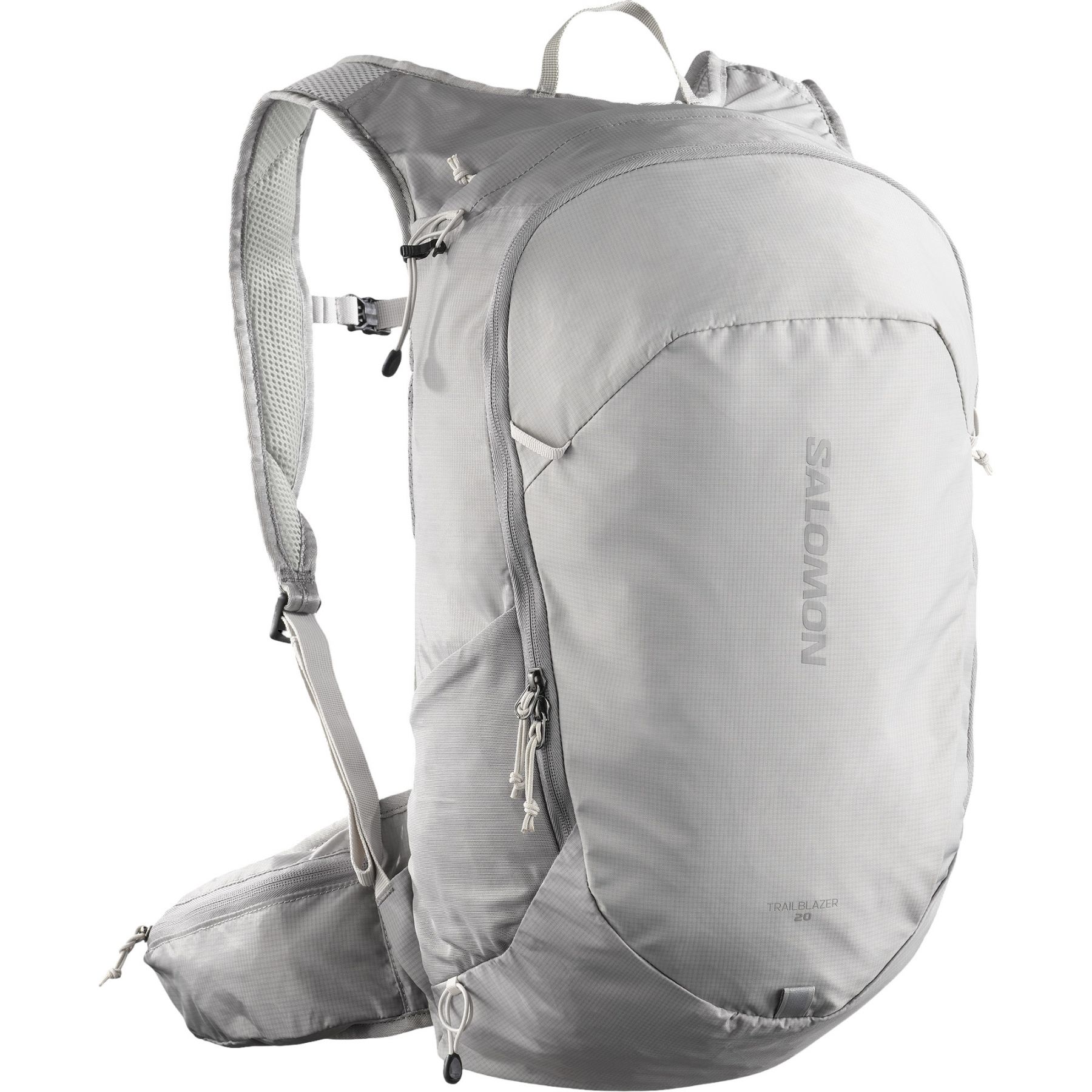 Salomon Trailblazer 20, Rucksack, grau/silber