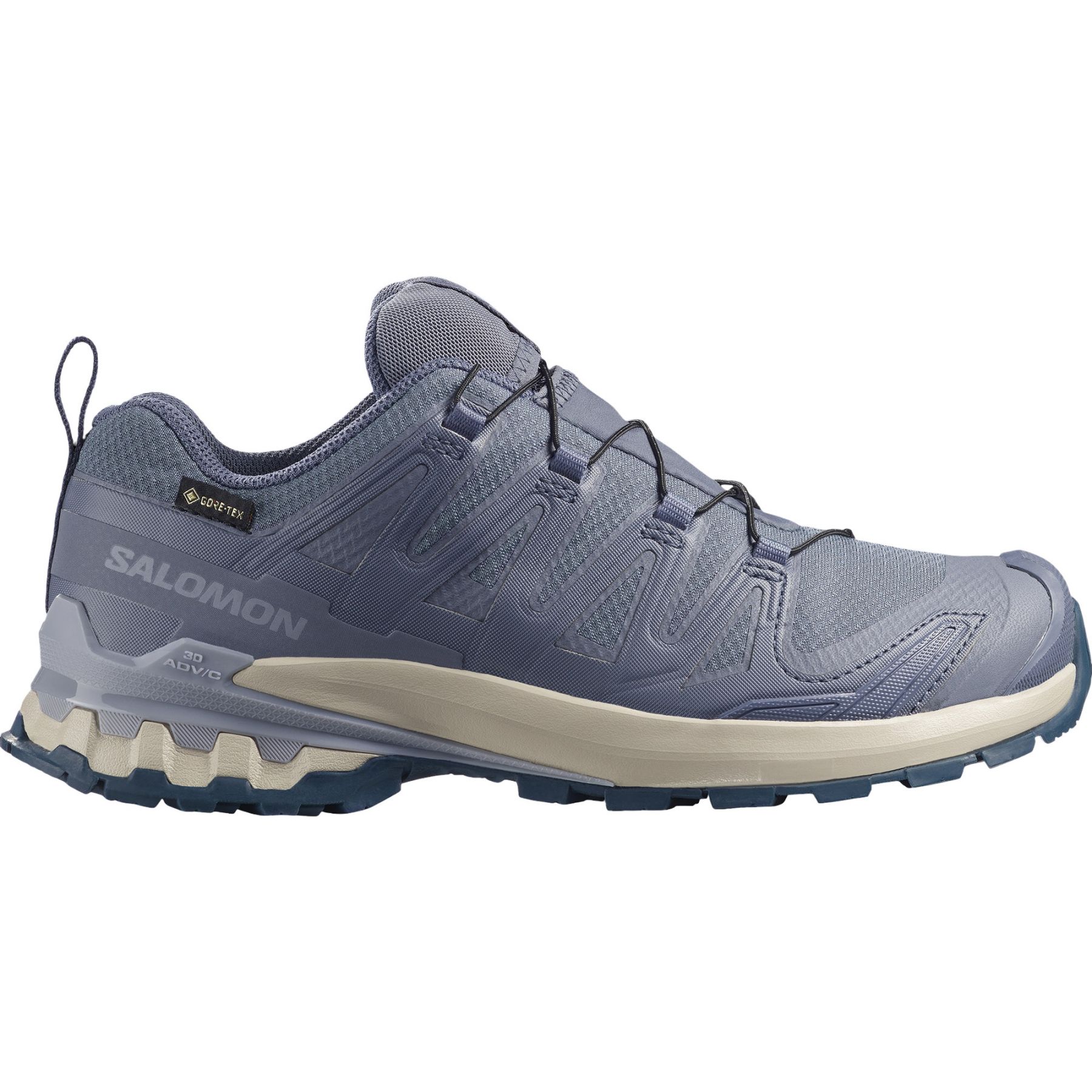 Salomon XA PRO 3D V9 GTX, Trailschuhe, Damen, grau/blau